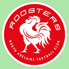 North Adelaide Football Club